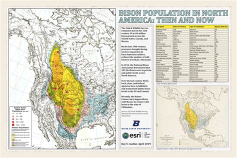 american bison population by state.